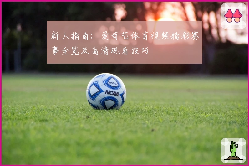 新人指南：爱奇艺体育视频精彩赛事全览及高清观看技巧